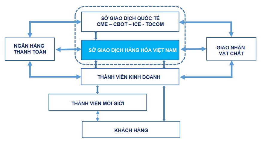 Mô hình hoạt động của sở giao dịch hàng hóa Việt Nam (MXV)