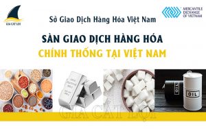 Sàn giao dịch hàng hóa phái sinh ở Việt Nam