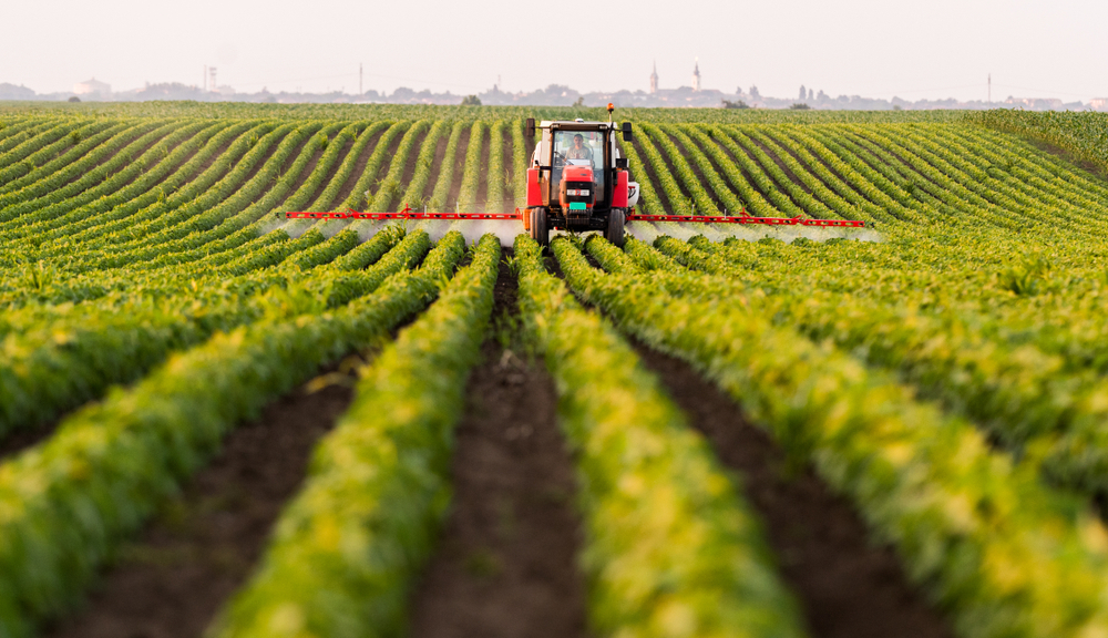 Bản Tin Hàng Hóa 04.12: Nhóm Sản Phẩm Đậu Tương Tăng Mạnh Trở Lại