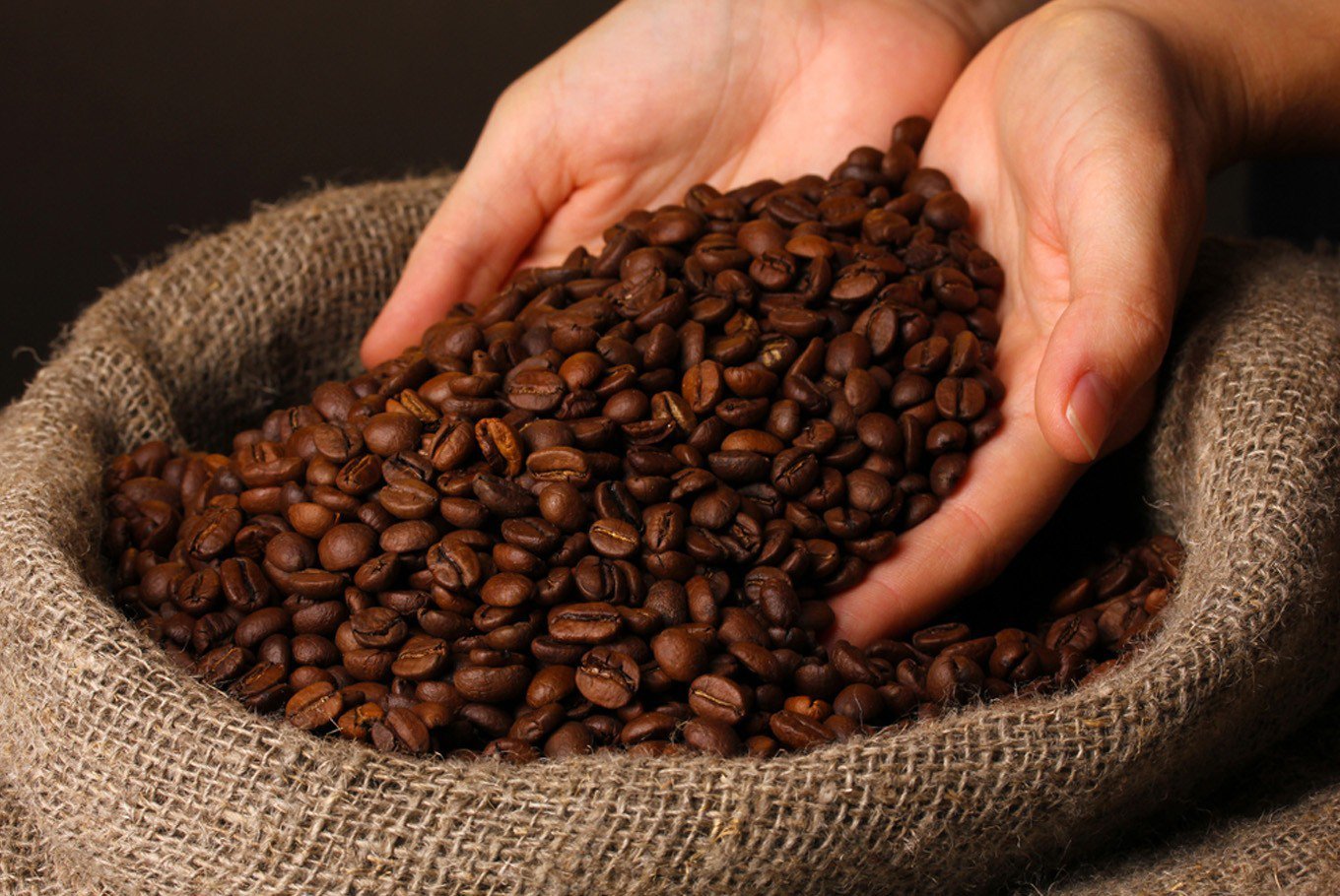 Phân Tích Cà Phê Robusta Và Arabica Ngày 19/02/2021: Giá Cà Phê Thế Giới Tăng Nhẹ