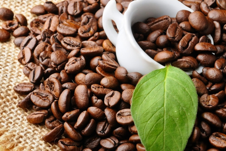 Phân Tích Cà Phê Arabica Và Robusta Ngày 24/02/2021: Bức Phá Mạnh Mẽ