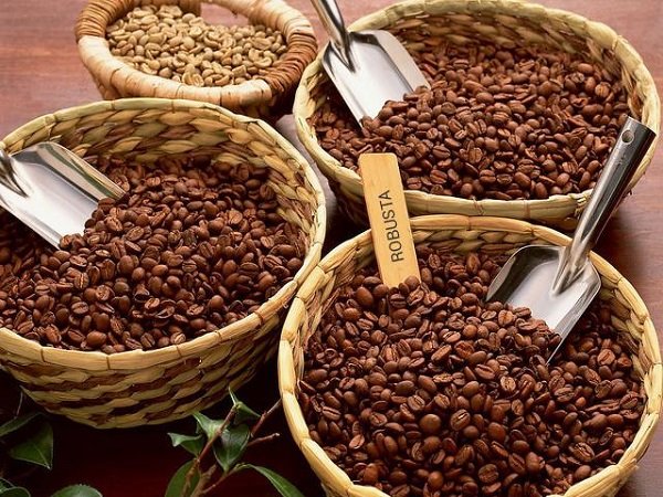 Phân Tích Cà Phê Arabica Và RoBusta Ngày 28/04/2021: Lực Mua Hoàn Toàn Áp Đảo