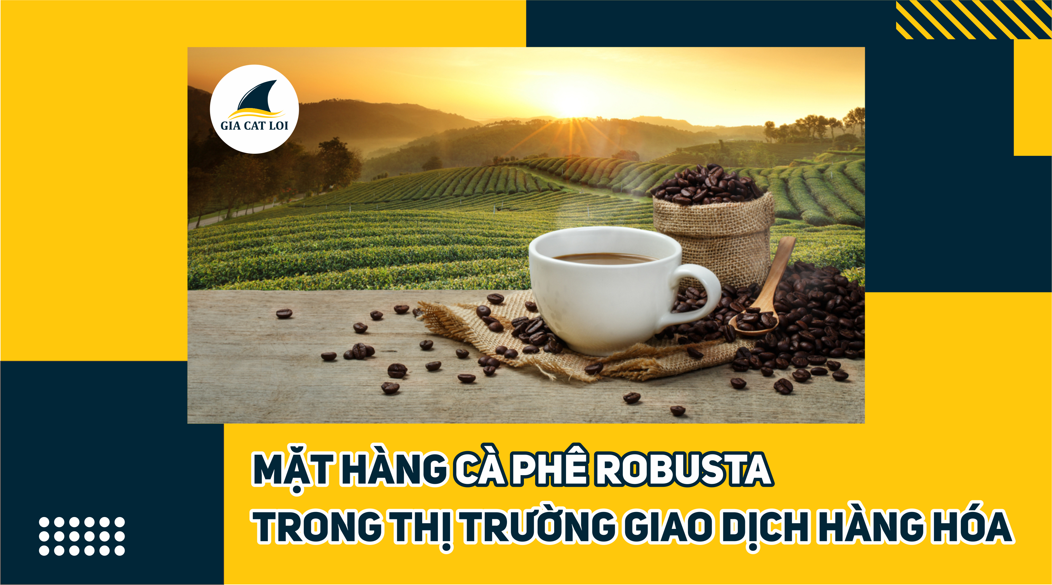Mặt Hàng Cà Phê Robusta Trong Thị Trường Giao Dịch Hàng Hóa