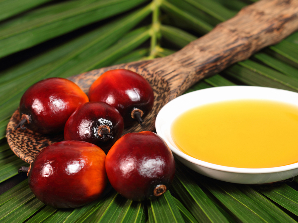 Tin Thế Giới: Giá Hợp Đồng Tương Lai Dầu Cọ Malaysia Tiếp Tục Giảm Trong Phiên Thứ 4 Liên Tiếp