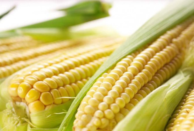 Phân Tích Ngô Ngày 16/06/2021: Vùng Dậy “Khởi Nghĩa” Vào Cuối Phiên