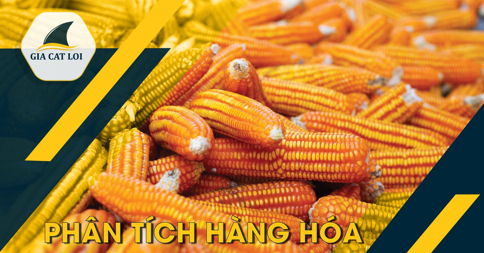 Phân Tích Lúa Mì Và Ngô Ngày 30/07/2021: Lúa Mì Và Ngô Phản Ứng Tích Cực Trong Phiên Mỹ