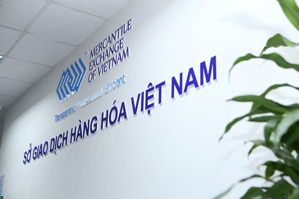 Sở Giao dịch Hàng hóa Việt Nam