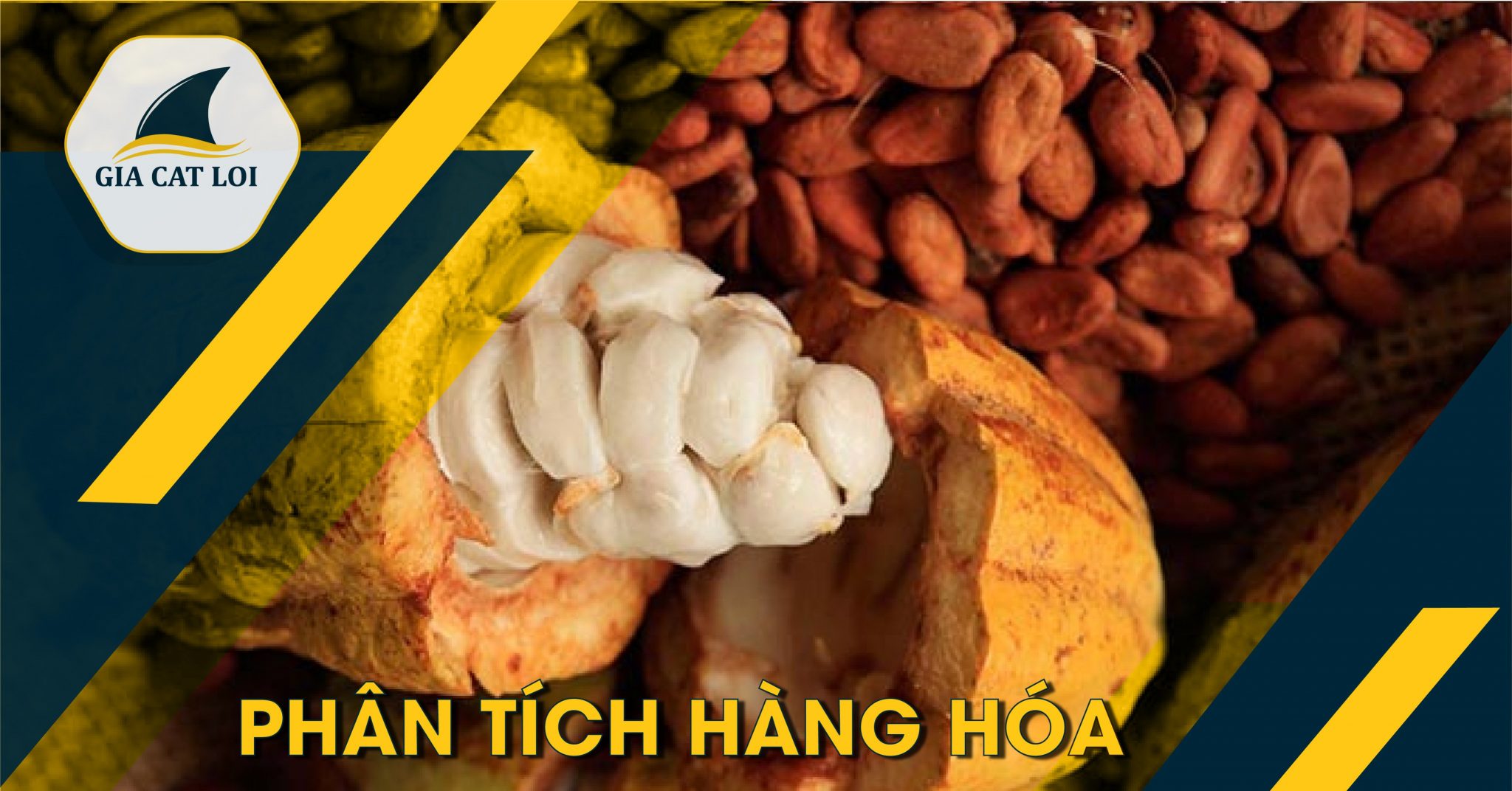 Phân Tích Ca Cao Ngày 16/08/2021 : Ca Cao Có Xu Hướng Tăng Mạnh