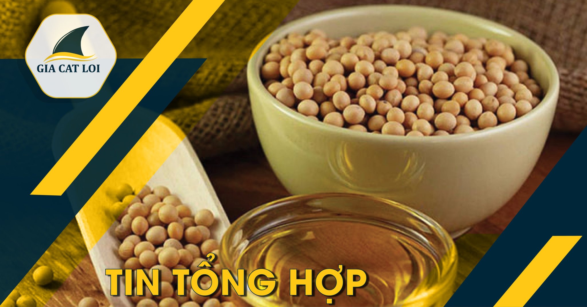 Bản Tin Khô Đậu Tương Ngày 31/08/2021: Giá khô đậu tương nhiều nơi tăng nhẹ, giá đậu tương kỳ hạn dao động trong biên độ hẹp