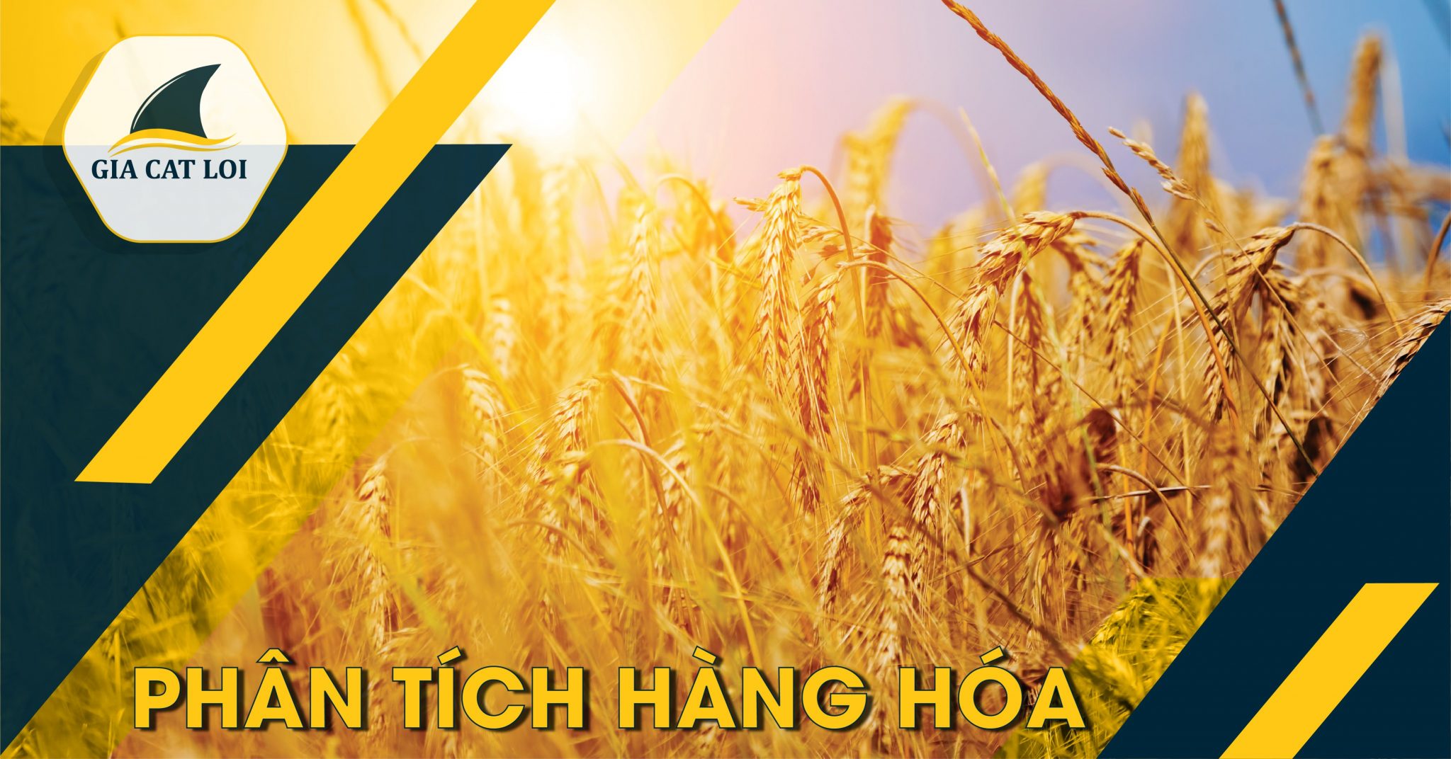Phân Tích Lúa Mì Ngày 18/08/2021: Xuất Khẩu Lúa Mì Đang Tăng Cao