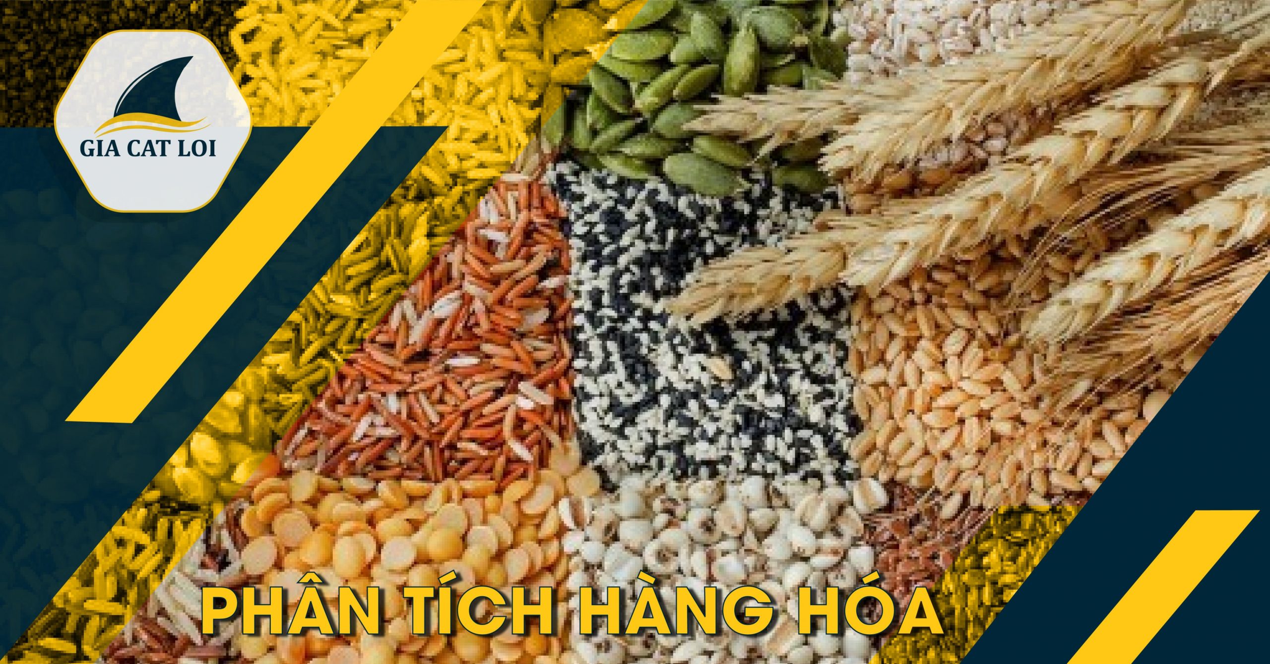 Phân tích Nhóm Ngành Nông Sản Ngày 30/08/2021: Giá Lúa Mì Tăng 1% Do Nguồn Cung Thắt Chặt