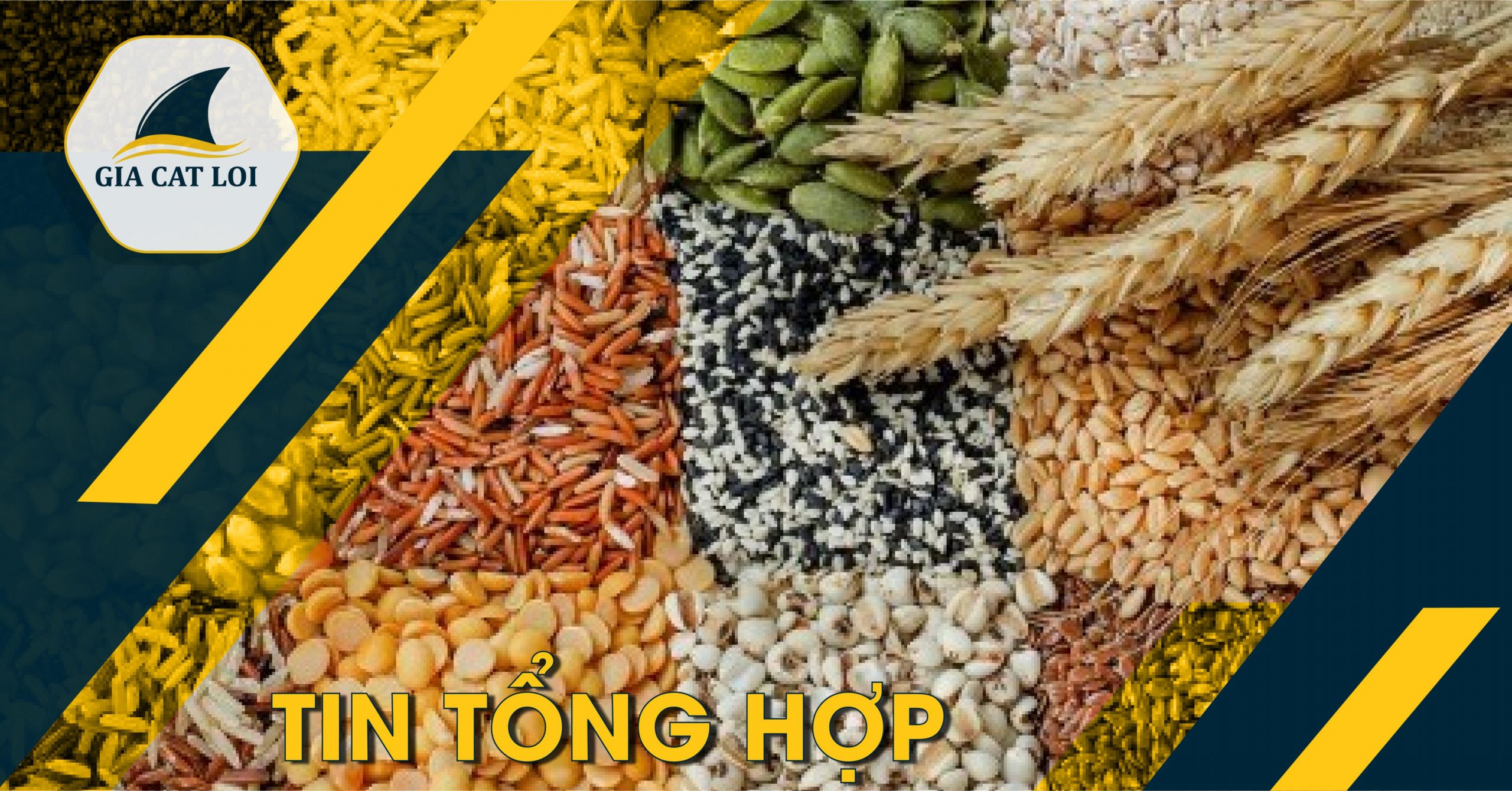 Bản Tin Nhóm Nông Sản Ngày 06/09/2021: Giá Lúa Mì Tăng Nhẹ Trong Khi Giá Ngô Giảm