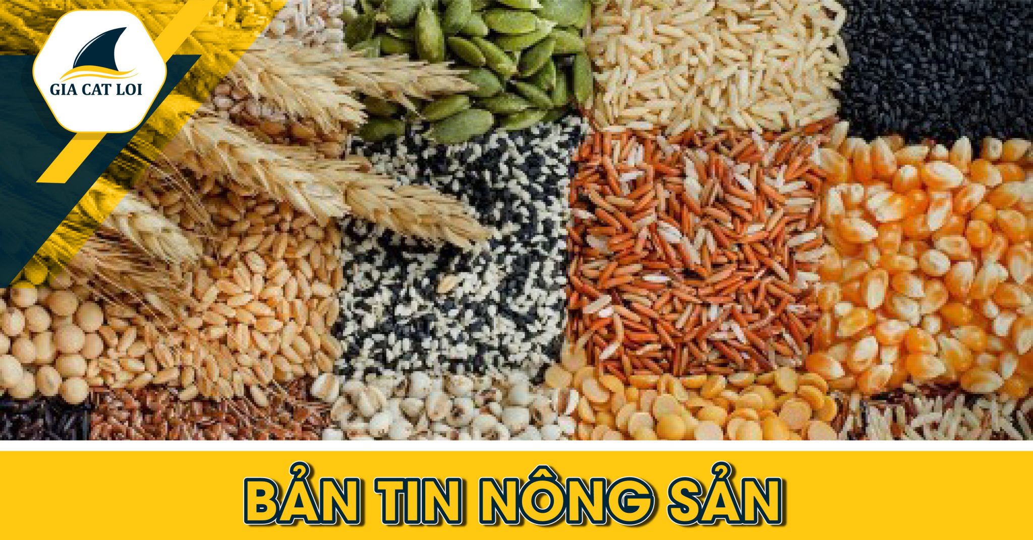 Phân Tích Nhóm Nông Sản Ngày 07/09/2021: Giá Lúa Mì Tiếp Tục Tăng Do Lo Ngại Về Nguồn Cung
