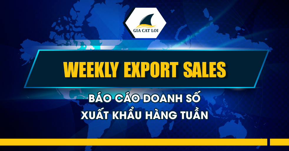 Weekly Export Sales – Báo Cáo Doanh Số Xuất Khẩu Hàng Tuần