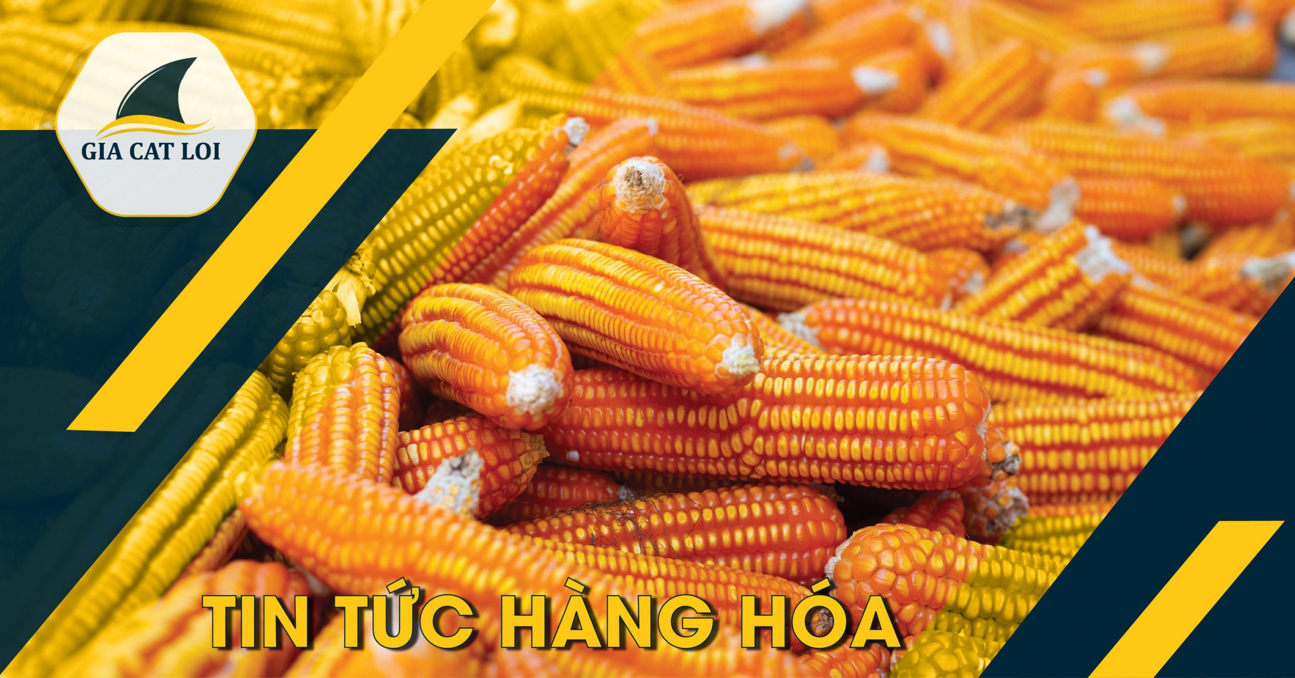 Giá Ngô CBOT Tăng Do Giá Dầu Thô Và Thị Trường Chứng Khoán Hoa Kỳ Tăng Mạnh