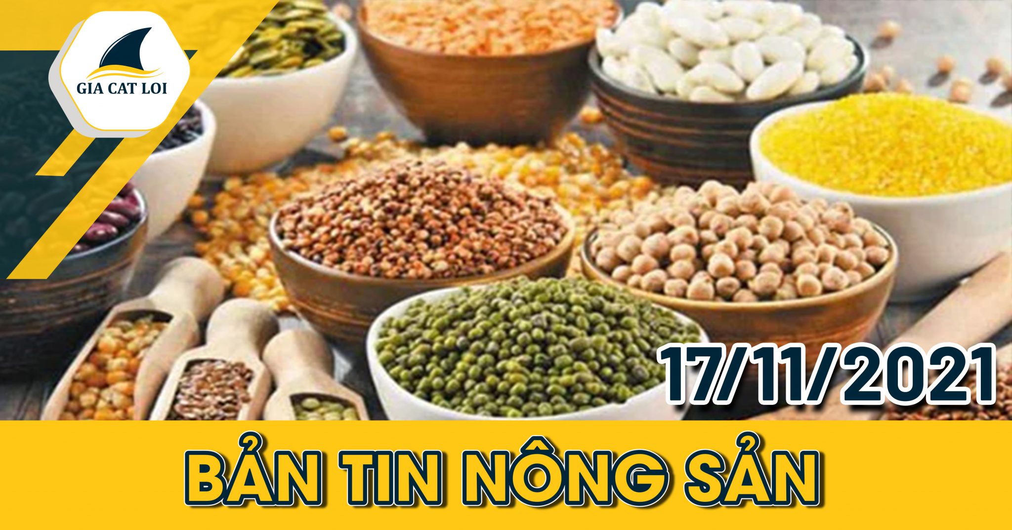 Bản Tin Nông Sản Ngày 17/11/2021: Lúa Mì Có Xu Hướng Tăng Tiềm Năng
