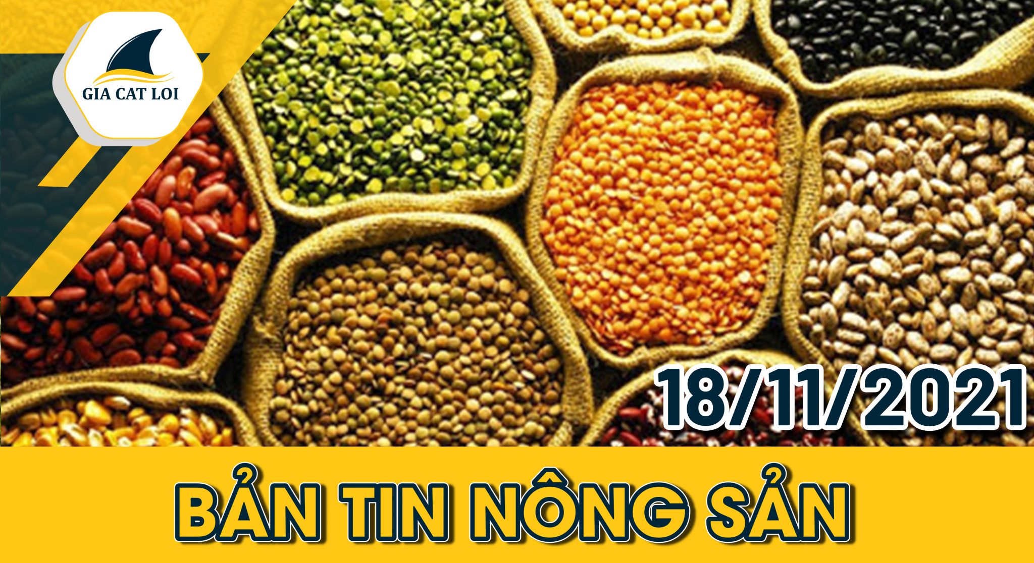 Phân Tích Nhóm Nông Sản Ngày 18/11/2021: Đậu Tương Có Biểu Hiện Tăng Giá Tốt