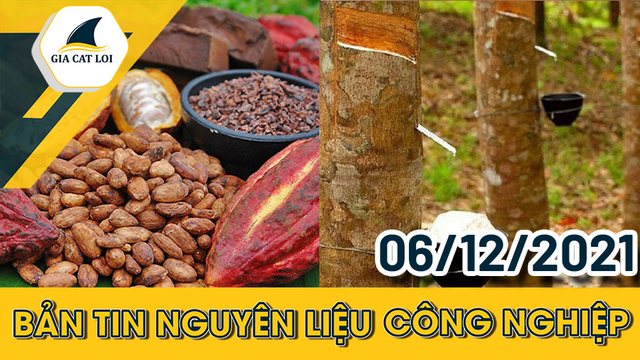 Phân Tích Nhóm Nguyên Liệu Công Nghiệp Ngày 06/12/2021: Giá Ca Cao Giảm Trước Biến Thể COVID Mới