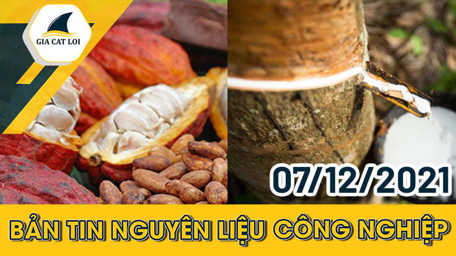 Phân Tích Nhóm Nguyên Liệu Công Nghiệp Ngày 07/12/2021: Giá Ca Cao Quay Đầu Giảm Nhẹ