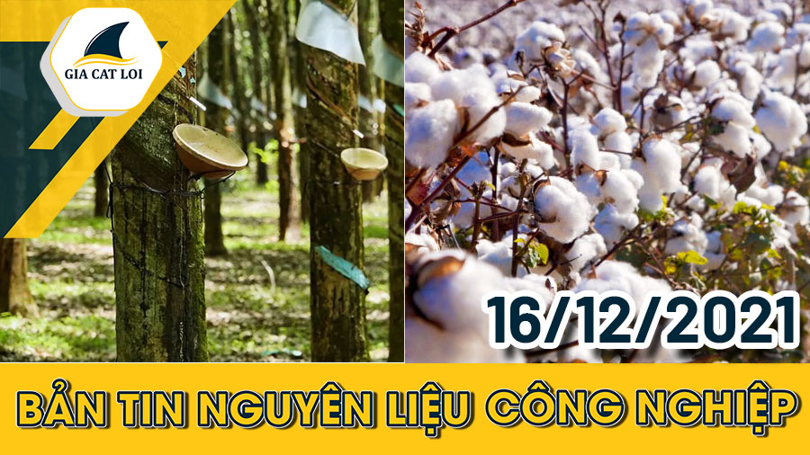 Phân Tích Nhóm Nguyên Liệu Công Nghiệp Ngày 16/12/2021: Giá Cà Phê Robusta Trở Lại Xu Hướng Tăng