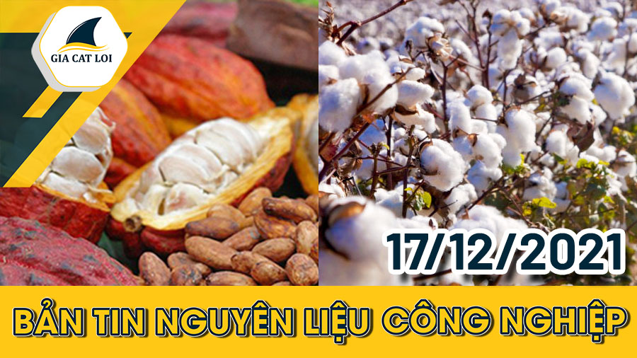 Phân Tích Nhóm Nguyên Liệu Công Nghiệp Ngày 17/12/2021: Cà Phê Robusta Giữ Đà Tăng Tốt