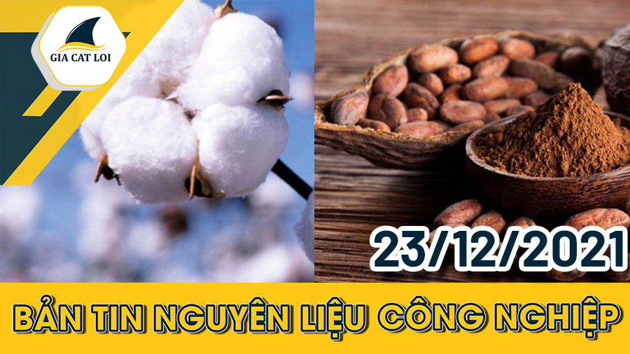 Phân Tích Nhóm Nguyên Liệu Công Nghiệp Ngày 23/12/2021: Giá Đường Thô Tiếp Tục Phục Hồi Tốt