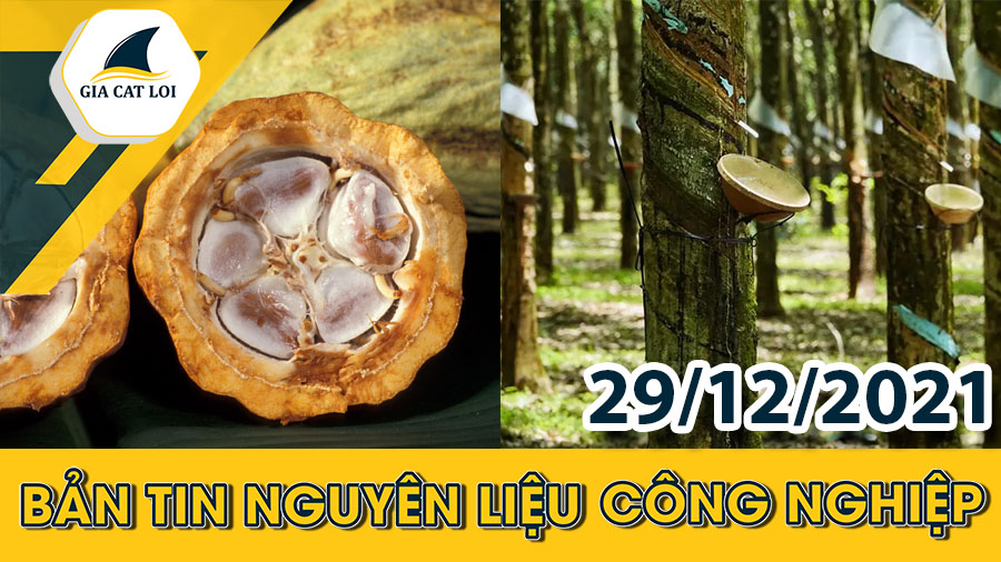 Phân Tích Nhóm Nguyên Liệu Công Nghiệp Ngày 29/12/2021: Tiêu Thụ Cà Phê Có Thể Ảnh Hưởng Bởi Omicron