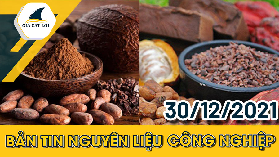 Phân Tích Nhóm Nguyên Liệu Công Nghiệp Ngày 30/12/2021
