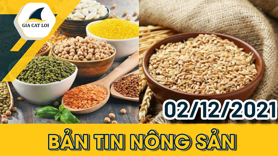 Phân Tích Nhóm Nông Sản Ngày 02/12/2021: Sự Hồi Phục Của Nông Sản Đang Rõ Nét Hơn