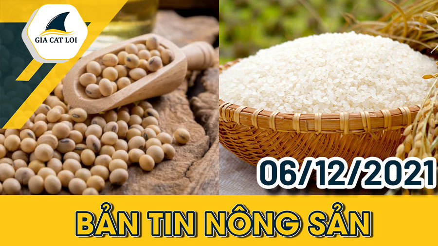 Phân Tích Nhóm Nông Sản Ngày 06/12/2021