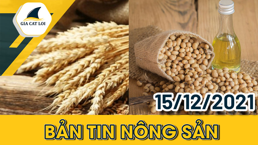Phân Tích Nhóm Nông Sản Ngày 15/12/2021: Giá Dầu Đậu Tương Suy Giảm Sau Áp Lực Từ EPA