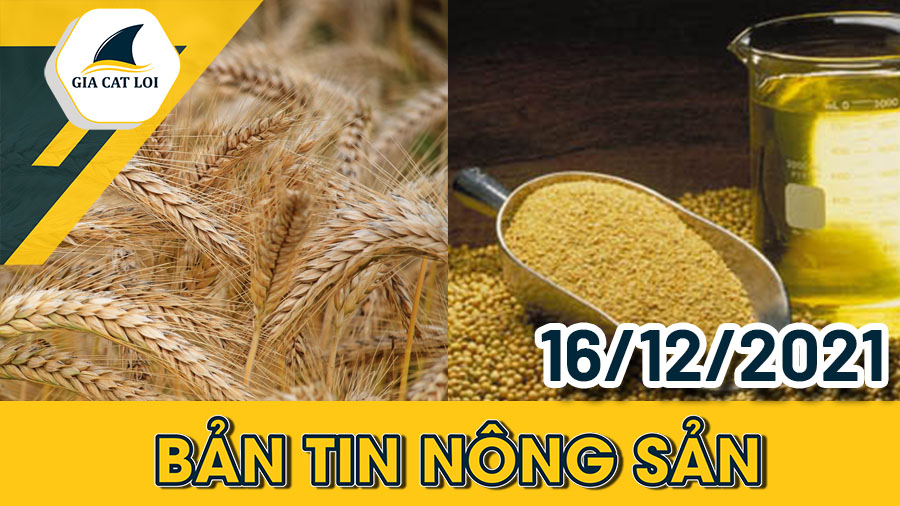 Phân Tích Nhóm Nông Sản Ngày 16/12/2021: Sản Xuất Ethanol Sẽ Là Yếu Tố Hỗ Trợ Giá Ngô
