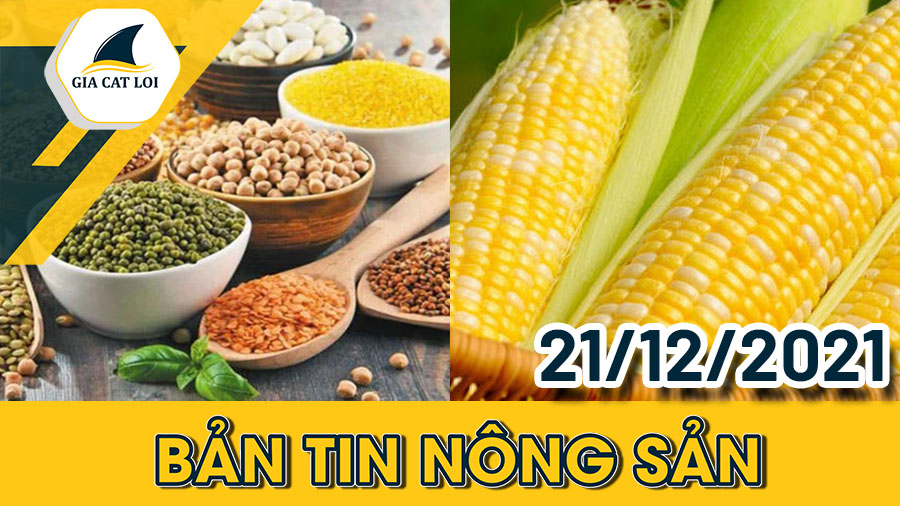 Phân Tích Nhóm Nông Sản Ngày 21/12/2021: Thị Trường Halal Tiềm Năng Cho Nông Sản Việt