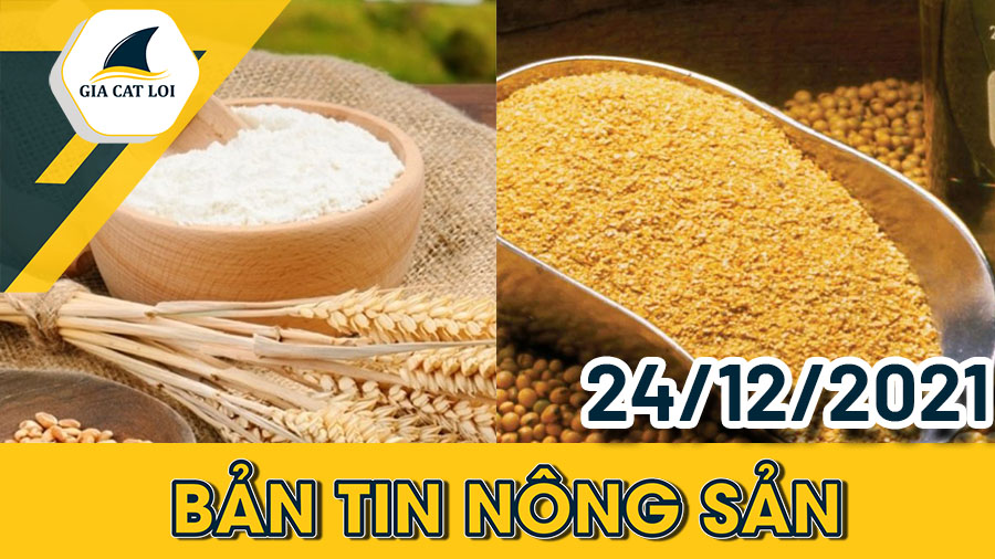 Phân Tích Nhóm Nông Sản Ngày 24/12/2021: Giá Ngô Vẫn Có Xu Hướng Tăng
