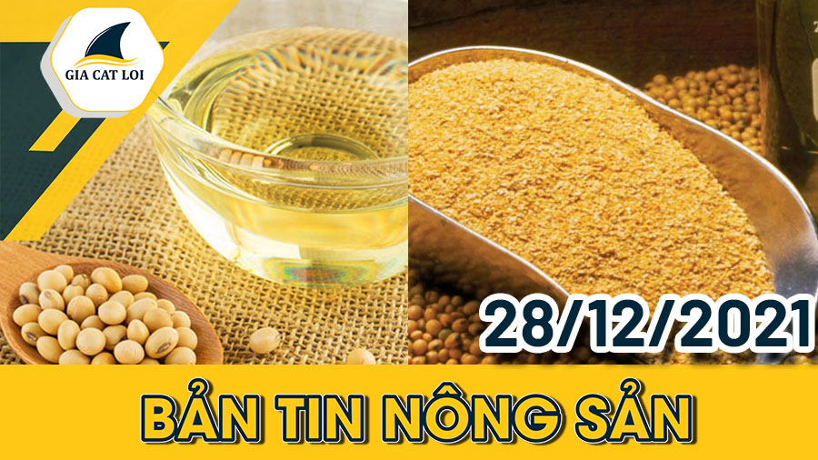 Phân Tích Nhóm Nông Sản Ngày 28/12/2021: Thị Trường Nông Sản Tuần Qua Đều Tăng Trưởng