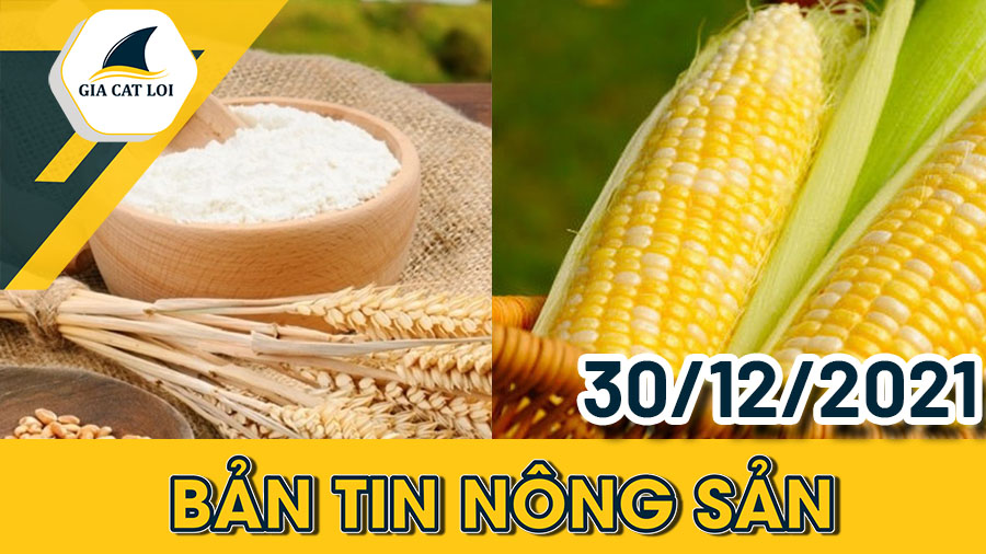Phân Tích Nhóm Nông Sản Ngày 30/12/2021