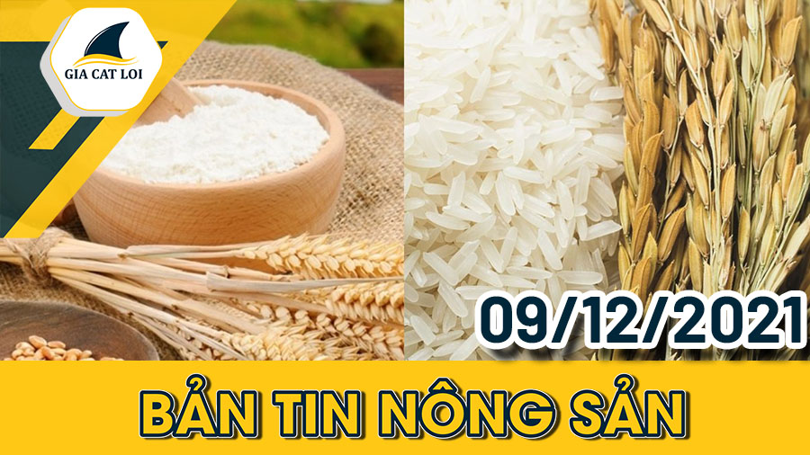 Phân Tích Nhóm Nông Sản Ngày 09/12/2021: Xuất Khẩu Nông Sản Của Eu Phục Hồi Trở Lại