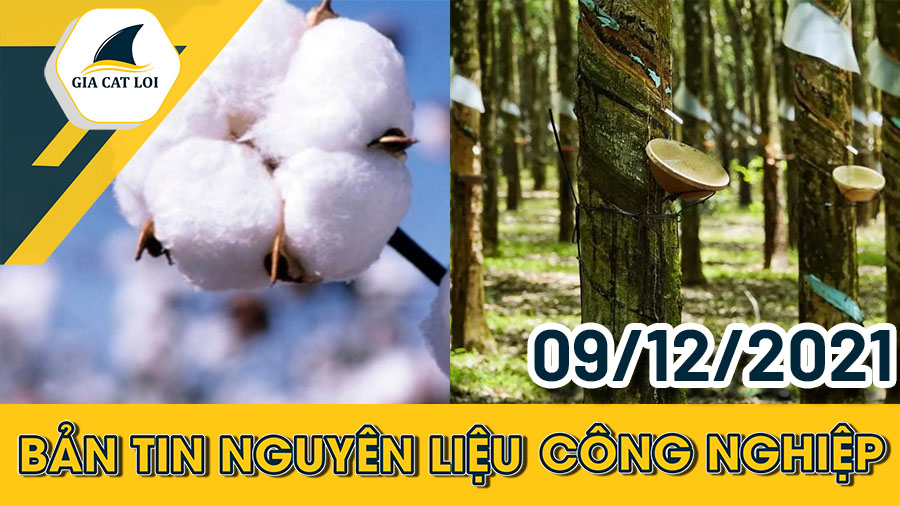 Phân Tích Nhóm Nguyên Liệu Công Nghiệp Ngày 09/12/2021: Thị Trường Đã Dần Tích Cực Trở Lại
