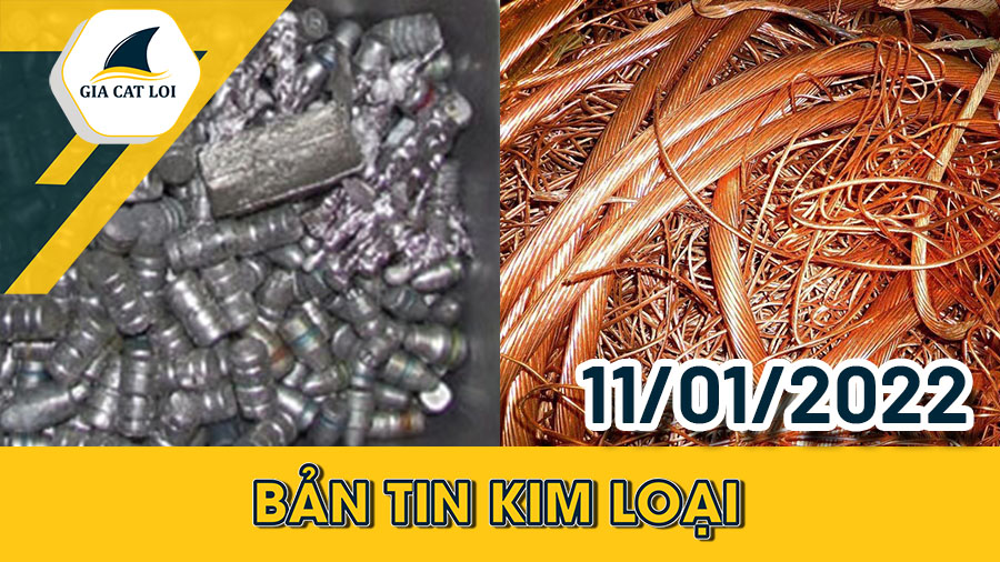 Phân Tích Nhóm Kim Loại Ngày 11/01/2022