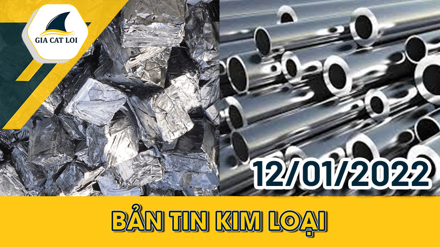 Phân Tích Nhóm Kim Loại Ngày 12/01/2022