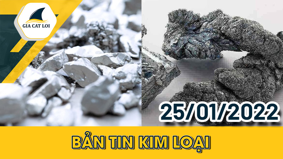 Phân Tích Nhóm Kim Loại Ngày 25/01/2022