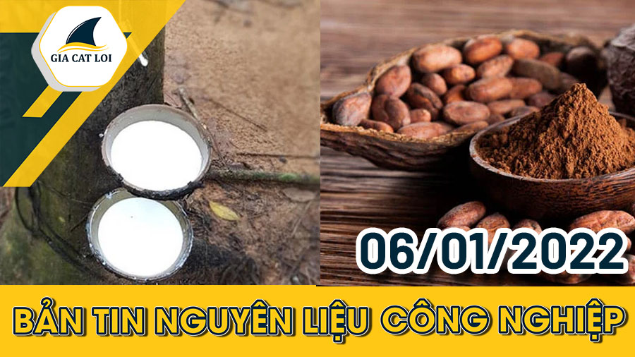 Phân Tích Nhóm Nguyên Liệu Công Nghiệp Ngày 06/01/2022