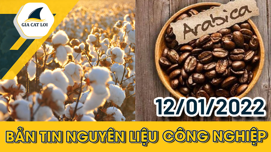 Phân Tích Nhóm Nguyên Liệu Công Nghiệp Ngày 12/01/2022