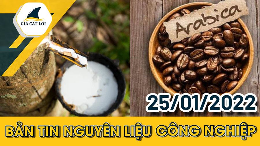 Phân Tích Nhóm Nguyên Liệu Công Nghiệp Ngày 25/01/2022