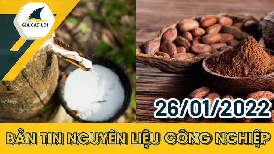 Phân Tích Nhóm Nguyên Liệu Công Nghiệp Ngày 26/01/2022