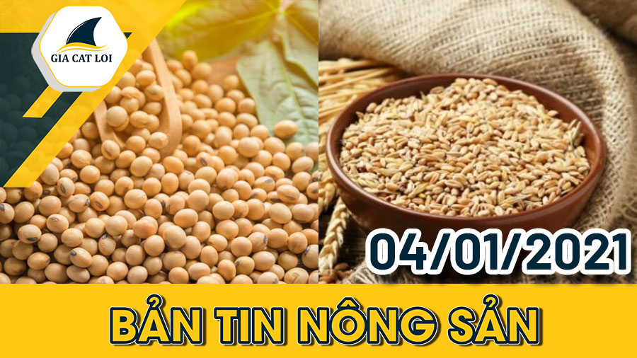 Phân Tích Nhóm Nông Sản Ngày 04/01/2022