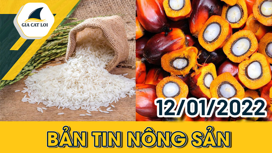 Phân Tích Nhóm Nông Sản Ngày 12/01/2022