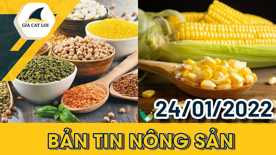 Phân Tích Nhóm Nông Sản Ngày 24/01/2022