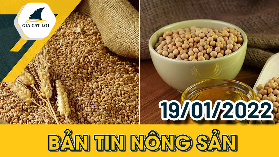 Phân Tích Nhóm Nông Sản Ngày 19/01/2022