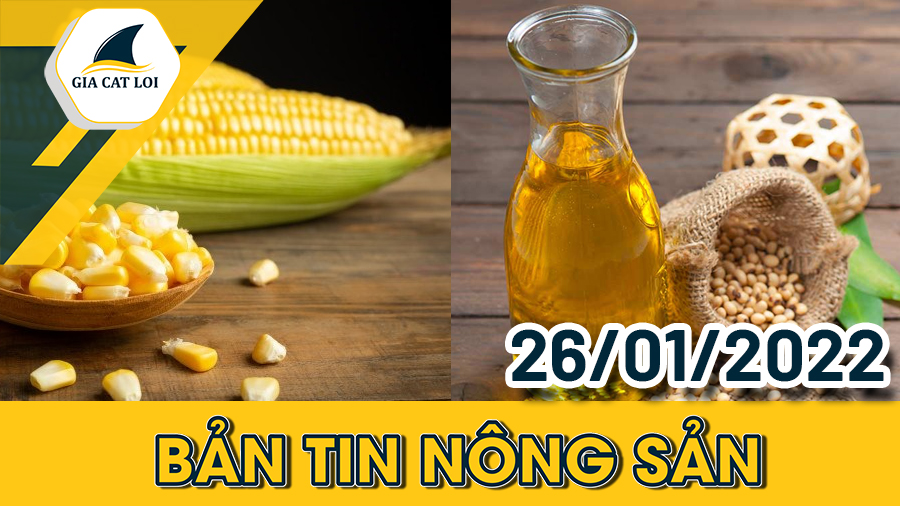 Phân Tích Nhóm Nông Sản Ngày 26/01/2022